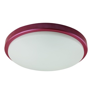IP65 LED Ceiling Lamp