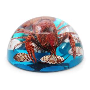Poids-papier artisanal en résine de homard, écrevisse et coquillage, décoration de bureau à domicile, souvenir, cadeau d'affaires haut de gamme - Product Image 3