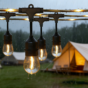 Guirlandes lumineuses LED décoratives longues, étanches pour l'extérieur, avec prise américaine homologuée ETL - Product Image 1