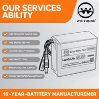 Pack de batteries cylindriques au lithium-ion 18650 5S1P 18,5V 2200mAh 2500mAh 3000mAh 3500mAh avec PCM et charge équilibrée