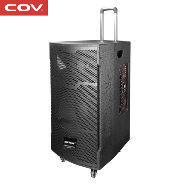 Wireless Sound Systems Portable Rechargeable Trolley Speaker 100W