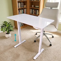 Bureau assis-debout moderne à vérin à gaz, double colonne pneumatique, hauteur réglable, pour l'étude et l'utilisation commerciale en bureau