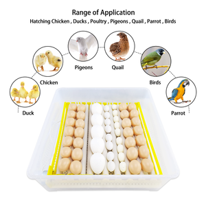 Incubatrice Automatica Domestica 56 Posti per Uova di Gallina, Anatra, Oca, Quaglia e Uccelli, Attrezzatura per la Deposizione con un Solo Clic, con Valigetta per Incubatrice di Uova - Product Image 3