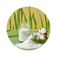 Poudre d'hydroxypropyl méthylcellulose (HPMC) de qualité construction de haute qualité excellents mélanges de béton de mortier de rétention d'eau
