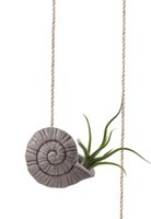 Pot de fleurs suspendu en céramique pour plantes aériennes, design minimaliste, idéal pour jardin intérieur, parfait pour centre commercial