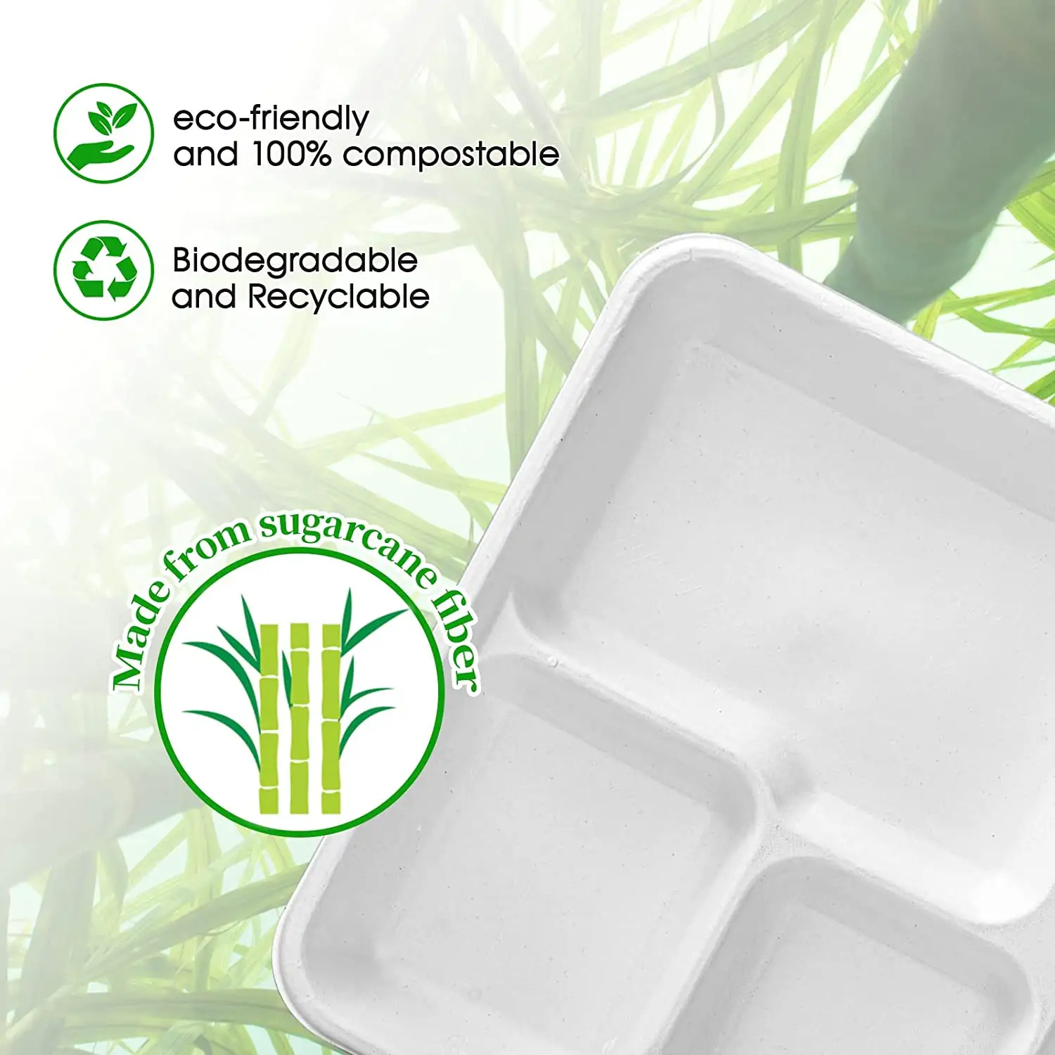 Phân hủy sinh học dùng một lần 100% tự nhiên compostable mía hộp vỏ sò bã mía thực phẩm container