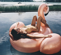 Vente en gros Jouet pour piscine Bateau à eau Flamingo Gonflable pour enfants