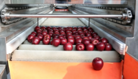 Volledig automatische fruitwas-, was-, droog-, sorteerlijn voor sinaasappels, appels, avocado's, drakenvruchten; machine voor maat- en gewichtsselectie en verwerking.