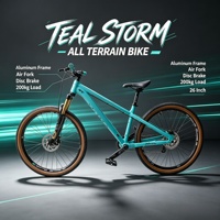Vélo tout-terrain en alliage d'aluminium, directement de l'usine, 26*15,5 pouces, vitesse unique, frein à disque mécanique, VTT