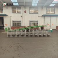 Bâtiments de gestation pour truies, fabricant direct usine, équipement d'élevage porcin en acier galvanisé, vente en gros, export