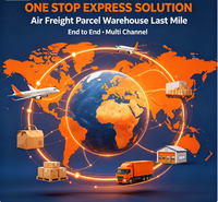 Logistique Intermodale Professionnelle Aérienne + Express Chine-UE DDP Livraison Porte-à-Porte Préparation Amazon FBA Stockage Étiquetage Retour Manutention Inversée