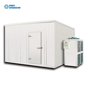 Easy To Operate Cold Room chambre froide automatic blast freezer cold rooms portable cold storage for sale