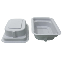 Barquettes en papier pour emballage électronique, carrées, fabriquées à partir de bagasse blanche, emballage biodégradable adapté aux appareils électroniques grand public