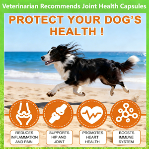 <span class=keywords><strong>AINA</strong></span> Factory - Suplemento en Cápsulas Duras Sin Granos para la Salud Articular y el Apoyo Inmunológico de Mascotas, de Rápida Absorción y Seguro, con MSM - Product Image 3