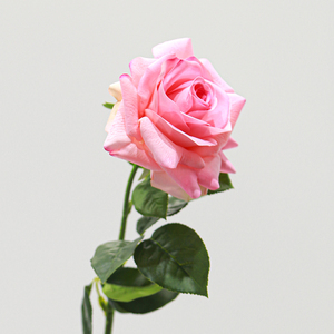 Vente en gros usine – Fleurs artificielles roses à branche unique, <span class=keywords><strong>grand</strong></span> format, toucher réel, faites à la main, pour mariage, Noël, Saint-Valentin, fête, jardin - Product Image 3