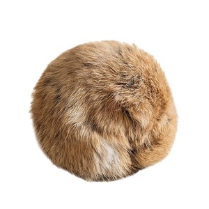 Rabbit Hair Ball <b>Cat</b> Toy 15g Plush Boredom Buster For Kittens - Product Image 5
