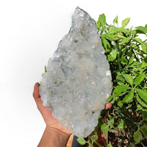 Hot Sale Natural Apophyllite Stilbite Zeolite <b>Cluster</b> Druzy Quartz Geode Specimen Rough Healing <b>Crystal</b> Gemstone Home Decor - Product Image 1