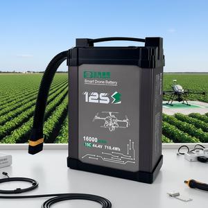 Factory Direct Sales 12S Smart <b>Battery</b> 44.4V 16000mAh 1000 Cycles Safety Dronespray Agricultural <b>Drones</b> Transport <b>Battery</b> - Product Image 1