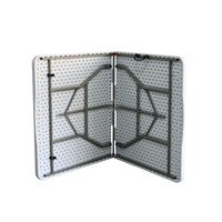 Table pliante en plastique personnalisable pour étude et décrochage portables en plein air, caractéristique pliable de conception de moule de soufflage de loisirs