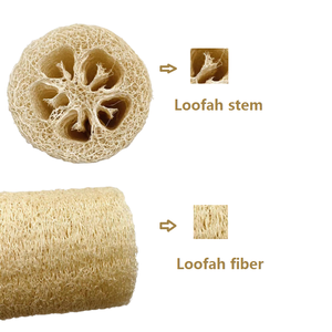 Esponjas de loofah orgânica, grande banho de chuveiro esfoliante luffa purificadores corporais - Product Image 2
