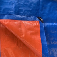 Bâche en tissu laminé HDPE PE imperméable de couleur bleue, fabriquée en Chine, pour garçons et filles