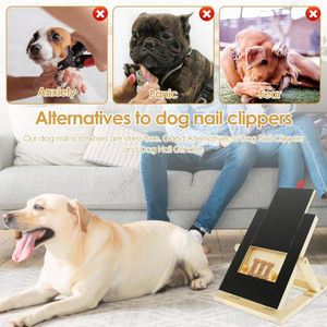Vente en gros Nouveauté 2025 Jouet interactif pour chien : Planche à gratter pliable en bois avec clous - Product Image 2