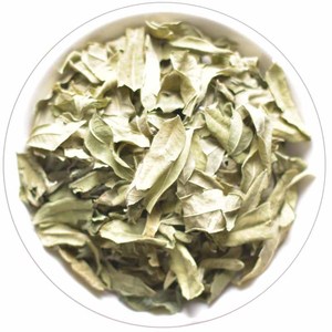 Luo Bu Ma Ye Cina alami kering kebiruan Dogbane Apocynum veneton daun untuk teh