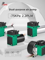 Pompe à vide micro sans balais 12V/24V CC, petite pompe à haute pression négative, pompe à air, pompe de circulation pour échantillonnage de gaz COV, personnalisable