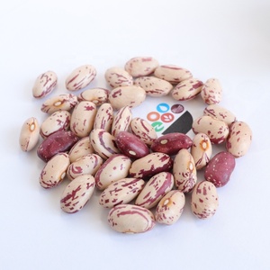Fagioli <span class=keywords><strong>Rossi</strong></span> Maculati, Fagioli Pinto e Fagioli di Cranberry all'Ingrosso per Alimenti in Scatola - Product Image 3