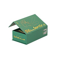 Boîte cadeau magnétique en papier rigide artistique vert avec estampage à chaud pour bougie, portefeuille, cadre photo