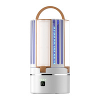 Lampe anti-moustiques électrique silencieuse portable pour usage commercial extérieur et intérieur, personnalisable