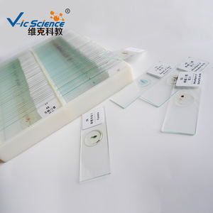 Lames préparées de parasitologie médicale pour l'apprentissage des étudiants, usage en recherche médicale, lames préparées de protozoaires de haute qualité - Product Image 5