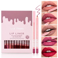 Kit de Crayons à Lèvres Mat 12 Couleurs en Gros – Longue Tenue, Imperméable, Rose Nude