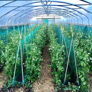 Offre Spéciale serre agricole serre cadre métal horticulture serre tropicale <span class=keywords><strong>prix</strong></span> - Product Image 2