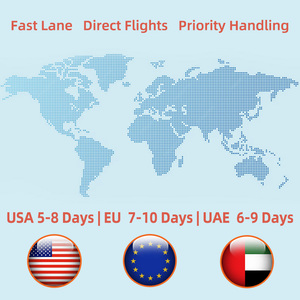 Agente de Transporte Aéreo DDP, Servicio de Envío Puerta a Puerta, Envío Aéreo Exprés a Qatar, Emiratos Árabes Unidos y Arabia Saudita - Product Image 4