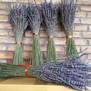 Arreglo de Flores Secas, Ramos de Flores Secas Naturales, Lavanda Seca Real para Decoración del Hogar, Ramos de Flores Secas - Product Image 5