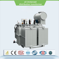 Transformateur de distribution immergé dans l'huile LEINENG haute tension 11kV 20kV 10kV 33kV – Prix fabricant