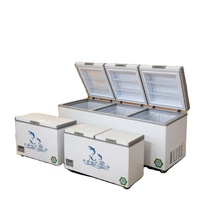 Congélateur horizontal commercial à deux portes de grande capacité 500L, congélateur de haute qualité adapté à la congélation des ingrédients de cuisine