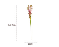 BH260824 Tropische Kunstmatige Gemberlelie Kunstmatige Kurkuma Bloem Enkelstengel voor Huisdecoratie Bruiloft Hotel Lobby Bloemendecoratie