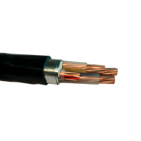 Cable de Alimentación Revestido de Fabricante de Cables, Armadura de Banda de Acero, Baja Tensión 0.6/1kv, 3 4 5 Núcleos, Minería Subterránea, Túnel Industrial
