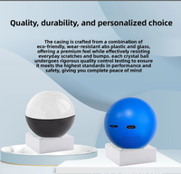 Vente en gros : Lecteur vidéo MP4 électronique en forme de boule de cristal, avec fonction de lecture vidéo, pour événements, cadeau d'anniversaire, cadeau créatif personnalisé