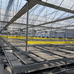 Invernaderos agrícolas de dientes de sierra <span class=keywords><strong>Multi</strong></span> Span Agricultura de sombra neta con sistema de enfriamiento - Product Image 5