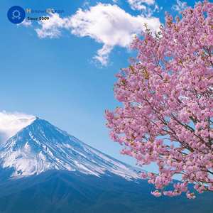 Spedizioniere Cina al Giappone Ddp servizi di controllo logistico e di controllo qualità in tutto il mondo siti di Shopping magazzino imballaggio - Product Image 5