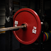 Plaques de poids en acier 2,5-25 kg, plaques de bumper colorées revêtues de PU, fournisseur en gros d'équipements de gym, fitness