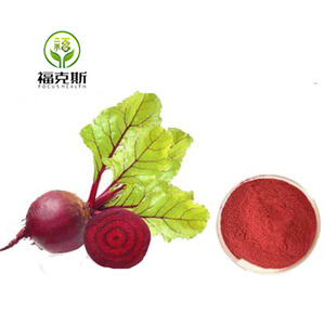 Kho Bán Buôn 100% Tự Nhiên Hữu Cơ Phun Khô Củ Cải Gốc Bột Màu Đỏ Củ Cải Đường Bột - Product Image 2