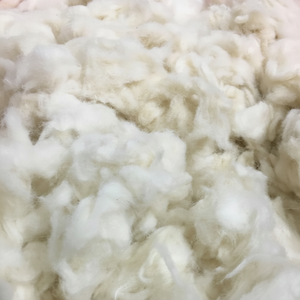 El Mejor Algodón blanqueado Peine Noil Algodón crudo (Sra. Xavia + 84 333371330) - Product Image 1