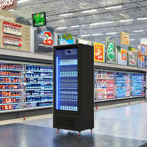 Supermarket Single Door Commercial Beverage Cooler <strong>Fridge</strong> Bar <strong>Beer</strong> Cold Drink Display Refrigeration Equipment Single-Temperature - Product Image 3