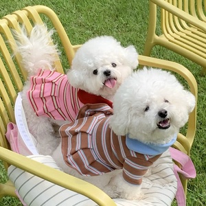 Robe d'été rayée pour chien avec col et boutons décoratifs, jolie jupe pour animaux de compagnie pour petits chiens, chats, chiots et chatons, usage quotidien - Product Image 2