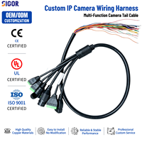 Arnés de Cableado Personalizado para Cámara IP, Multifuncional, con Bloque de Terminales RJ45 y Cable de Alimentación CC para Equipos de CCTV