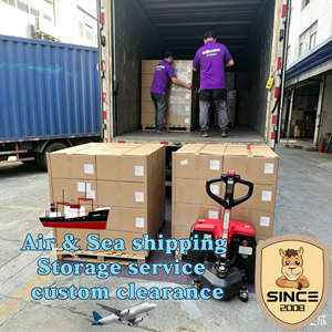 Mejor Agente de Transporte Marítimo, Flete Marítimo Económico de China a Honiara, Islas Salomón, Almacenamiento y Consolidación Gratuitos - Product Image 3